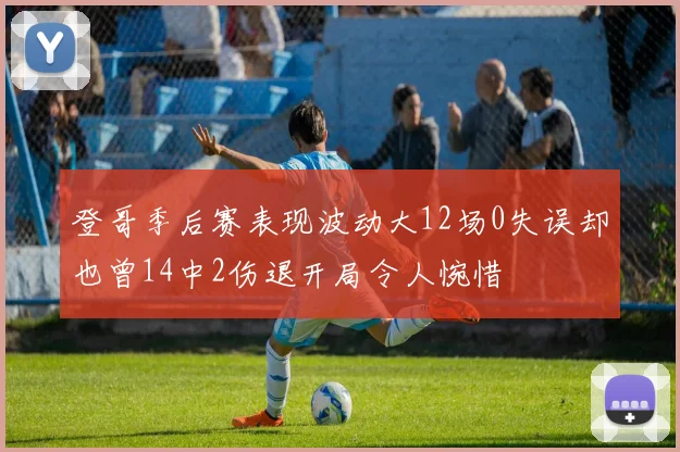 登哥季后赛表现波动大12场0失误却也曾14中2伤退开局令人惋惜